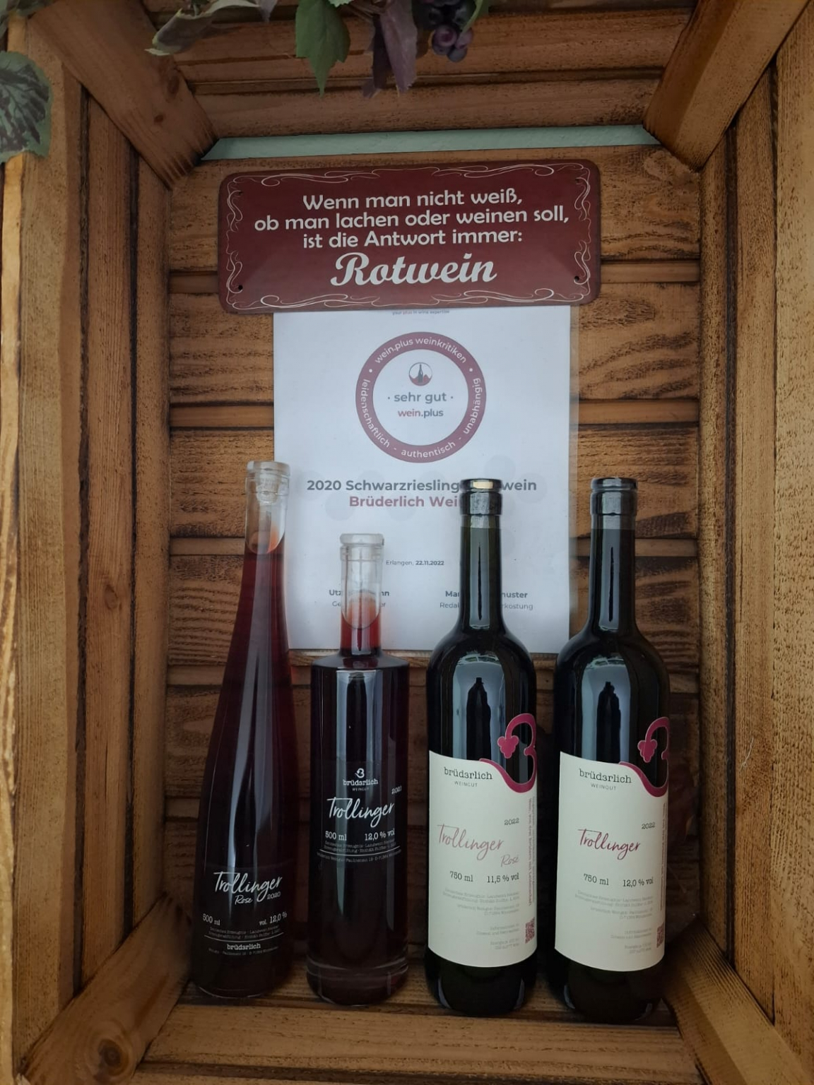 389c445b-deef-455e-8e75-643e39d94caf